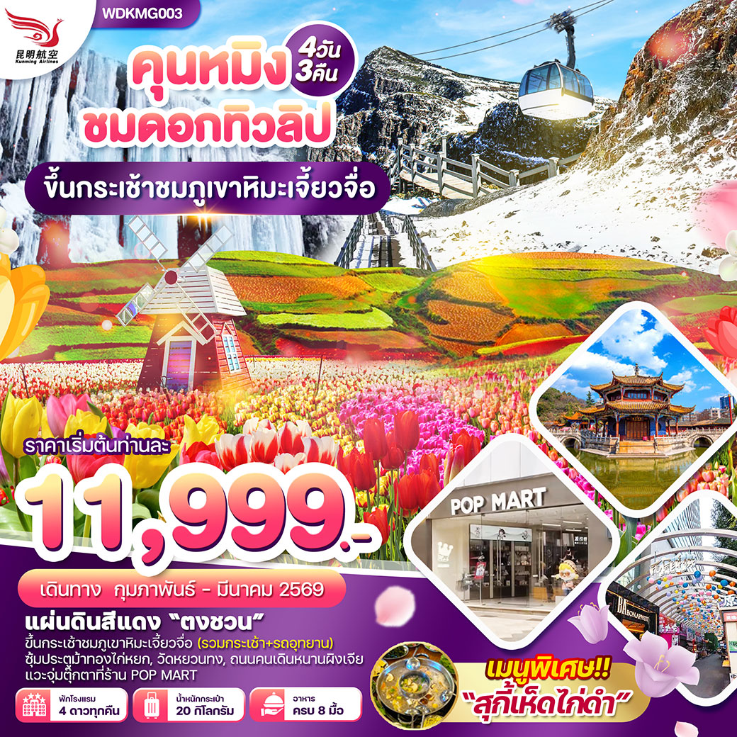 ทัวร์จีน  คุนหมิง ชมดอกทิวลิป ขึ้นกระเช้าชมภูเขาหิมะเจี้ยวจื่อ 4วัน 3คืน (KY)